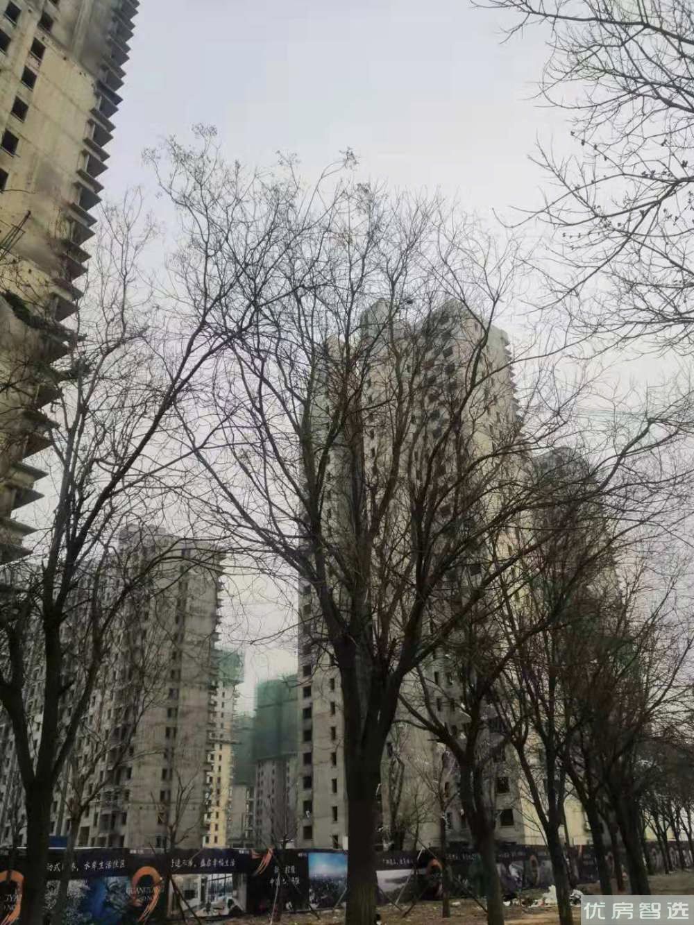 新城昕樾