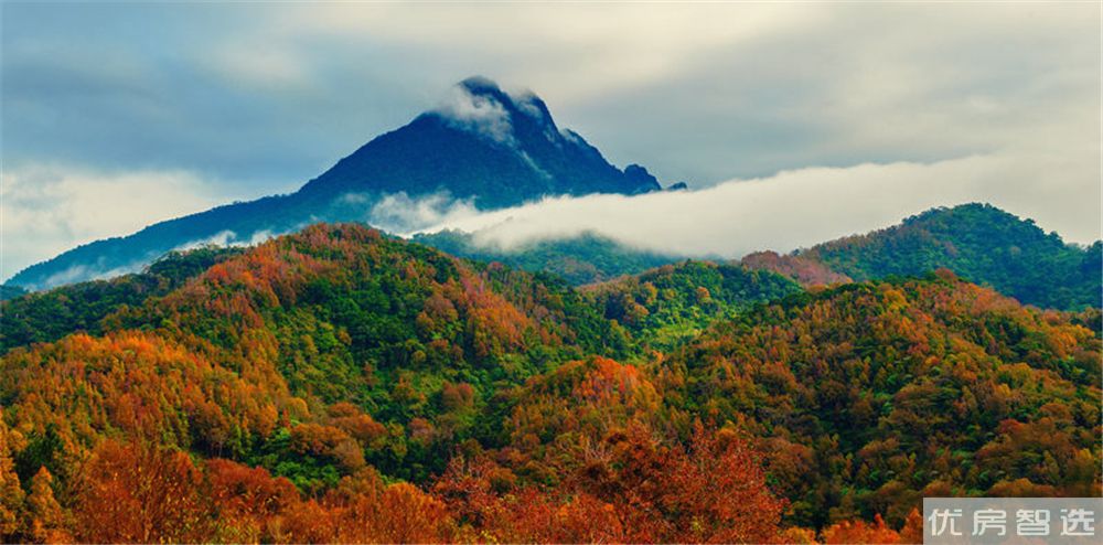 五指山云麓效果图