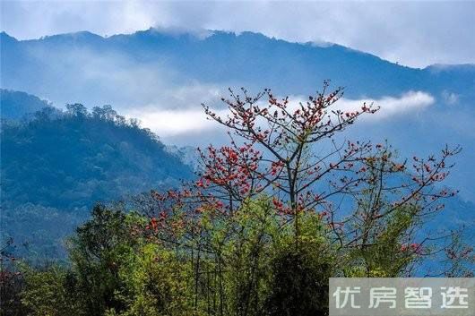 交泰山海颂效果图