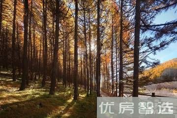 融创崇礼公馆效果图