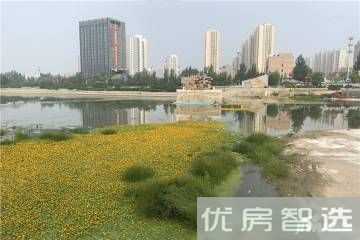 海诚清水河畔效果图