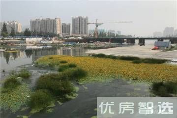 海诚清水河畔效果图