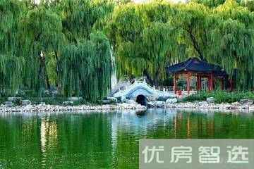 天成绿洲